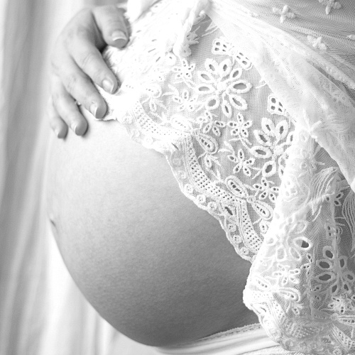 Das Werden eines neuen Lebens