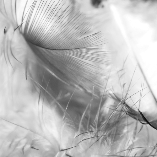 Die Rundum-Atmung - so einfach geht das!