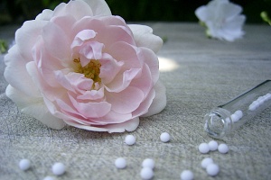 Vorträge und Events