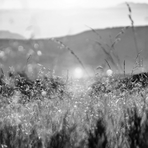 Der Herbst und das Immunsystem - Zeit für ein Upgrade