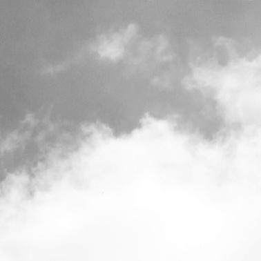 DIE LUNGE aus Sicht der Traditionellen Chinesischen Medizin