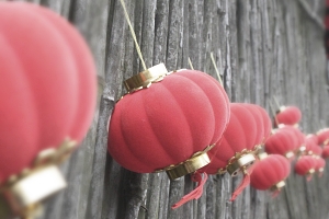 2023 der Hase folgt dem Tiger 