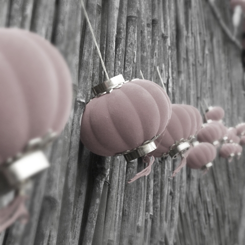 Der Hase folgt dem Tiger - so startet 2023