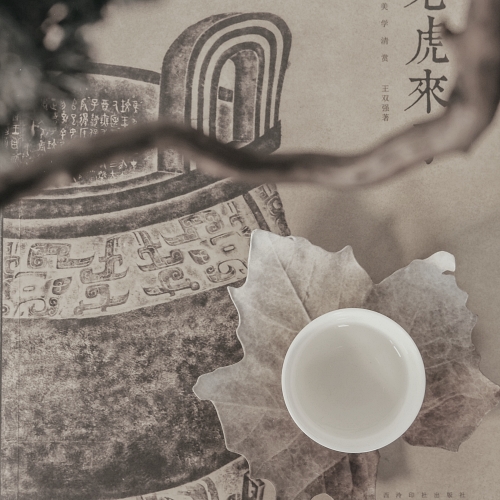 Dein Stoffwechsel - Basics für deine Gesundheit