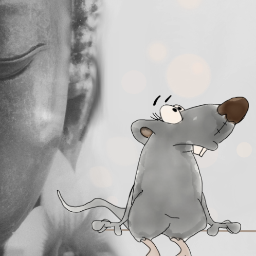 Corona - Krisen und Chancen