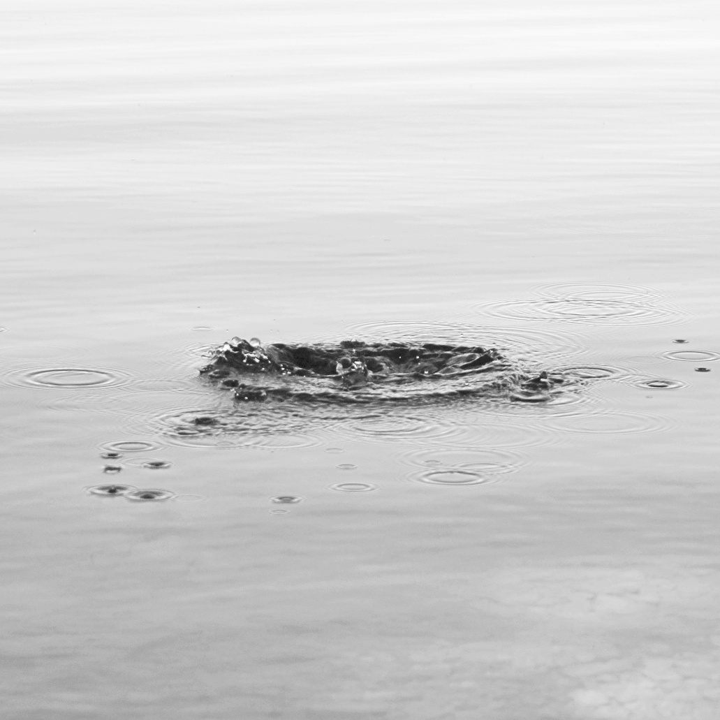 Wasser - für dein Immunsystem